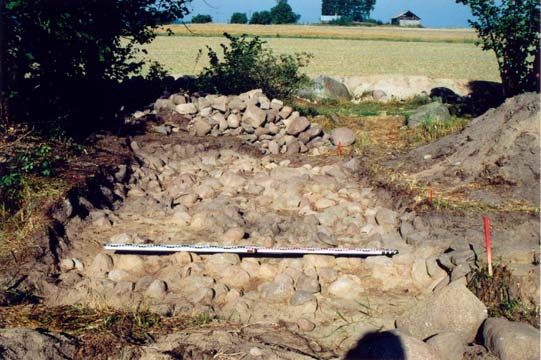 ilustracja dekoracyjna