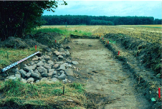 ilustracja dekoracyjna