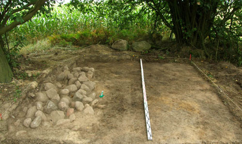 ilustracja dekoracyjna