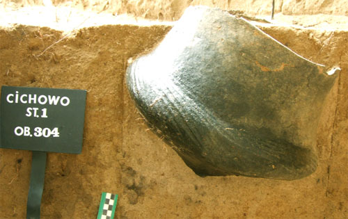 ilustracja dekoracyjna