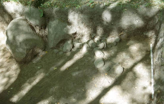 ilustracja dekoracyjna