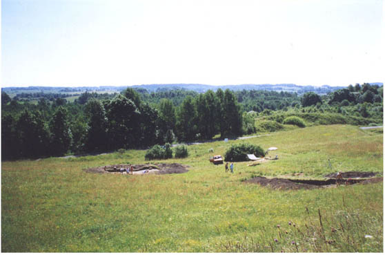 ilustracja dekoracyjna