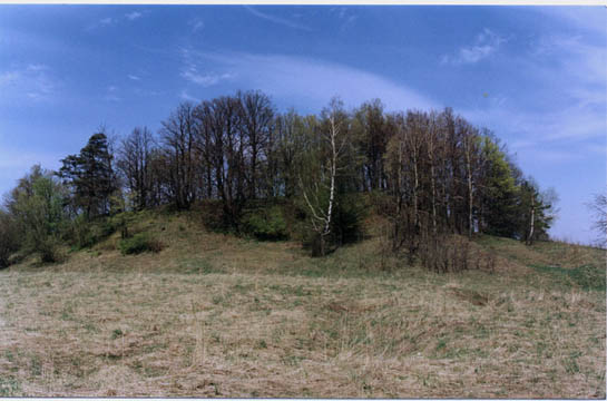 ilustracja dekoracyjna