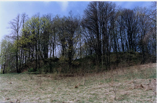 ilustracja dekoracyjna