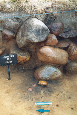 ilustracja dekoracyjna