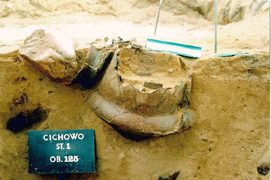 ilustracja dekoracyjna