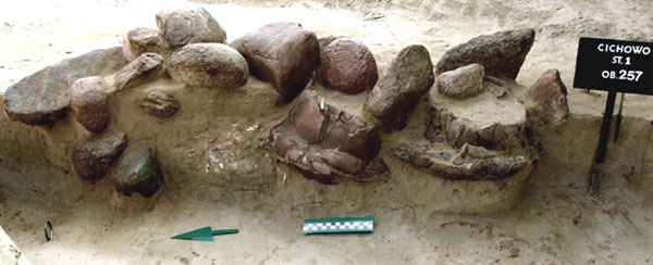 ilustracja dekoracyjna