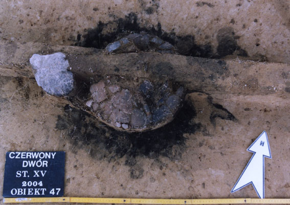 ilustracja dekoracyjna