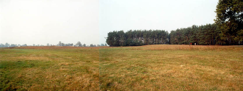 ilustracja dekoracyjna