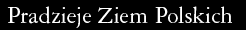 Napis: Pradzieje ziem polskich